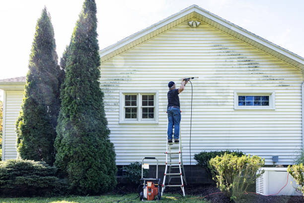Best House Exterior Washing  in Benton Heights, MI